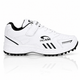 White/Grey