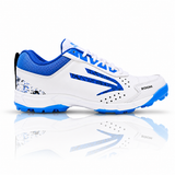Zoom- Cricket Shoes