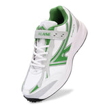 Color: white-green