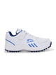 Blue/White