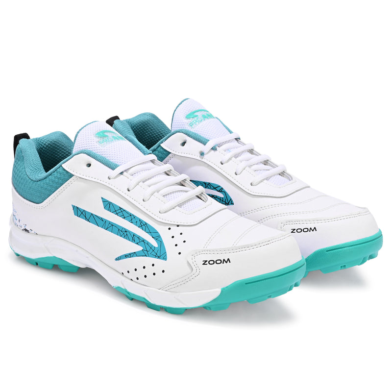 Zoom- Cricket Shoes