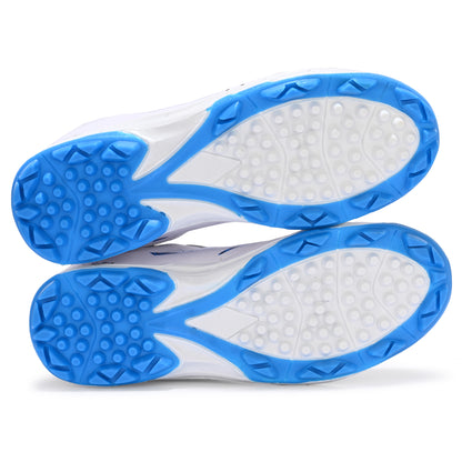 Zoom- Cricket Shoes