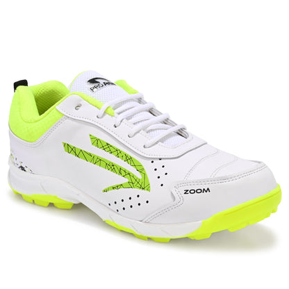 Zoom- Cricket Shoes