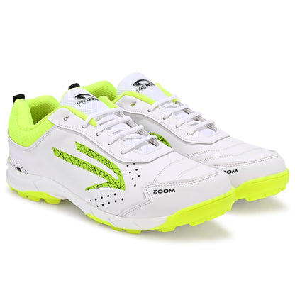 Zoom- Cricket Shoes