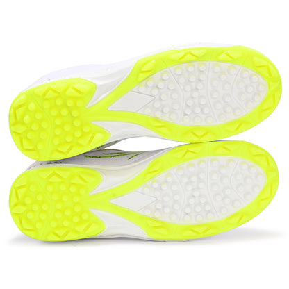 Zoom- Cricket Shoes