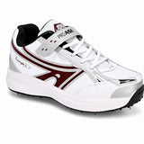 Hyper Spike 2.0- cricket Spikes