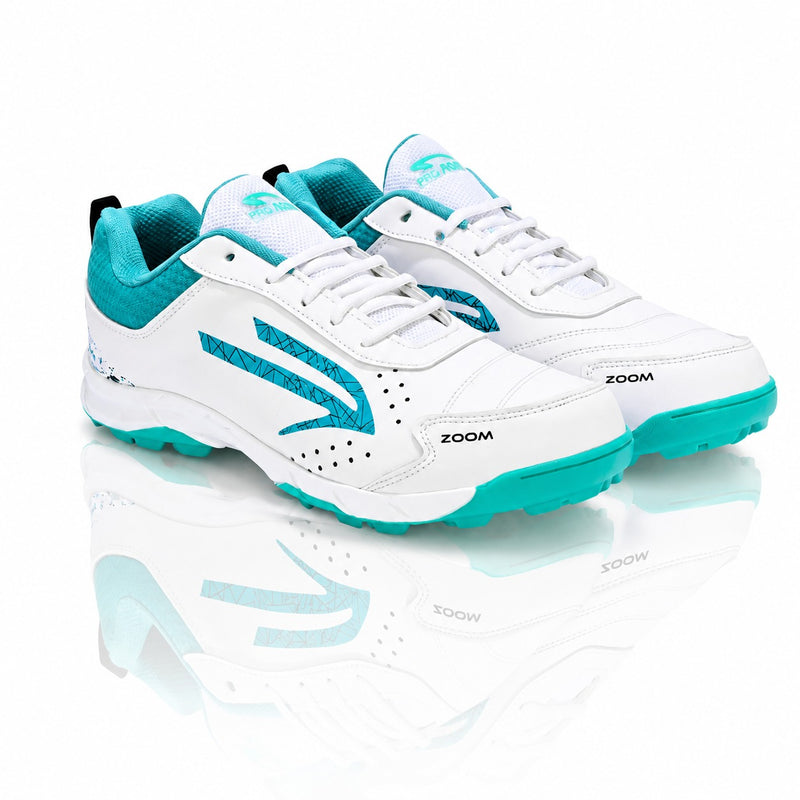 Zoom- Cricket Shoes