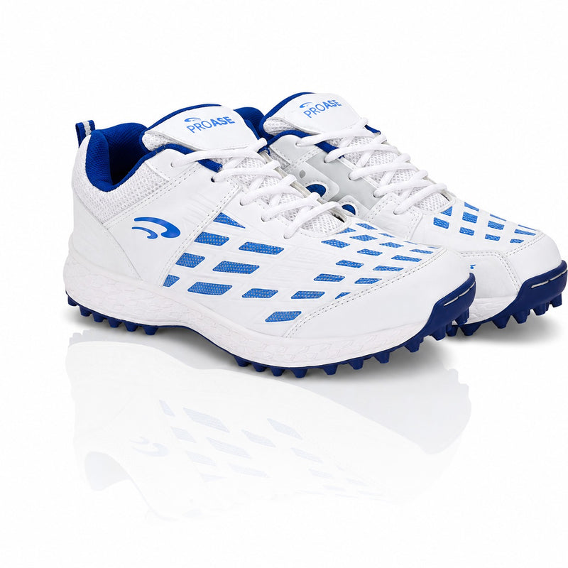 CG-103- Cricket Shoes
