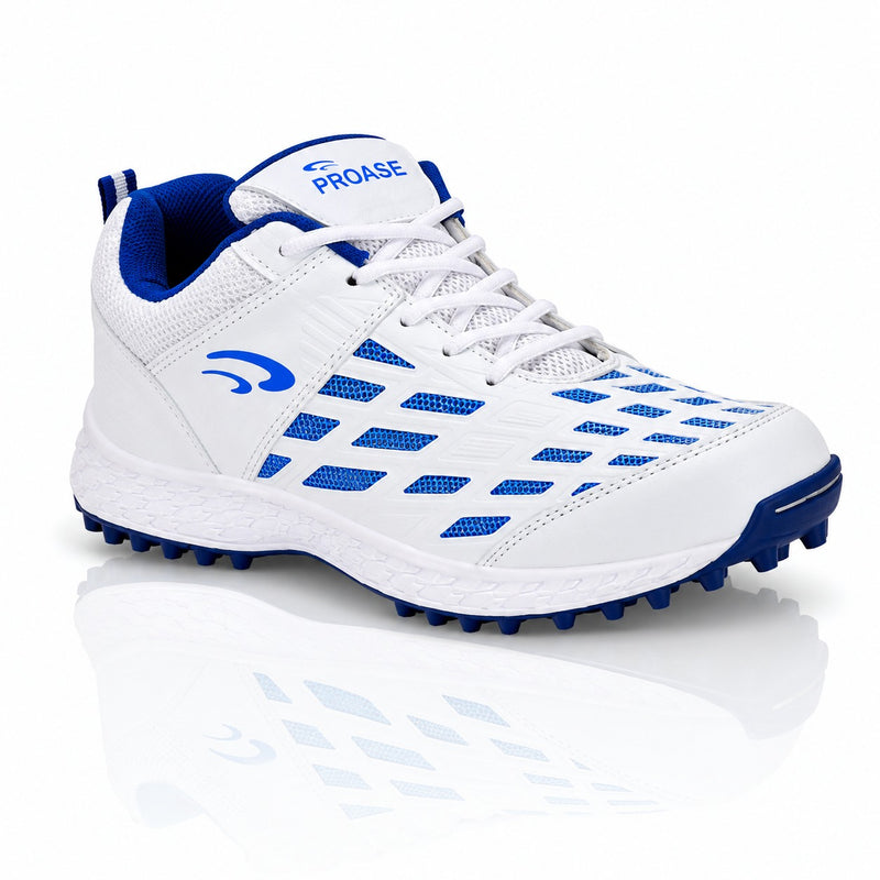 CG-103- Cricket Shoes