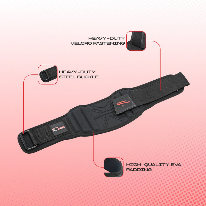 Pro Raptor- Weight lifting belt